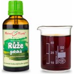 Bylinné kapky Růže galská tinktura 50 ml – Hledejceny.cz
