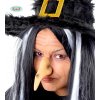 Karnevalový kostým Nos čarodějnický F14