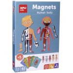 APLI kids magnetická logická hra Lidské tělo – Zboží Mobilmania