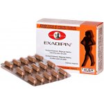 Indica Exadipin plus 3 x 60 kapslí – Hledejceny.cz