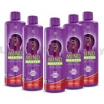 LR Mind Master Formula Red 5 x 500 ml – Hledejceny.cz