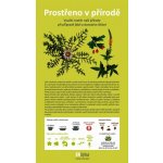 Lipka - školské zaří PROSTŘENO V PŘÍRODĚ – Hledejceny.cz