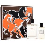 Hermes Terre D Hermes EDT pro muže 100 ml + sprchový gel 80 ml dárková sada – Hledejceny.cz