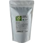 Zelené Drahokamy Tužebník jilmový nať 100 g – Zboží Dáma