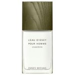 Issey Miyake L'Eau D'Issey Pour Homme Eau&Cédre toaletní voda pánská 100 ml – Sleviste.cz