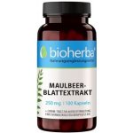 Bioherba Extrakt z listů moruše 250 mg 100 kapslí – Hledejceny.cz