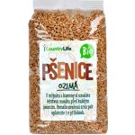 Country Life Pšenice ozimá zrno BIO 1 kg – Zboží Dáma