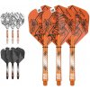 Letka na šipku Target - darts Sada letek a násadek - Ink - Raymond van Barneveld - medium