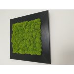 Mia Moss decoration - MECHOVÝ OBRAZ 23X23 – Zboží Dáma