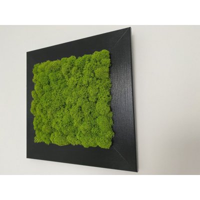 Mia Moss decoration - MECHOVÝ OBRAZ 23X23 – Zboží Dáma