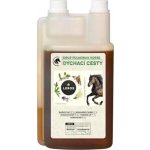 Leros Sirup Pulmoran Horse 1000 ml – Zbozi.Blesk.cz