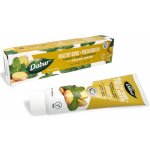 Dabur Herbal zázvor a máta 100 ml – Hledejceny.cz