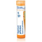 HYPERICUM PERFORATUM POR 15CH GRA 1X4G – Hledejceny.cz