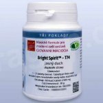 Giovanni Maciocia T74 Jasný duch Bright Spirit 60 tablet – Hledejceny.cz