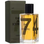 Iceberg Eau de Iceberg Amber toaletní voda pánská 100 ml – Hledejceny.cz