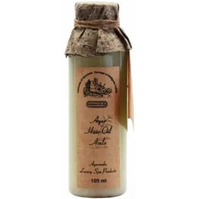 AyurTour Ayur vlasový olej AMLA 100 ml – Hledejceny.cz