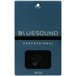 Bluesound Professional B170S – Zboží Živě