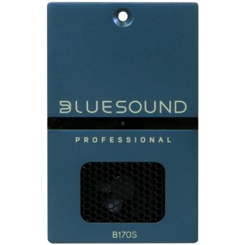 Bluesound Professional B170S