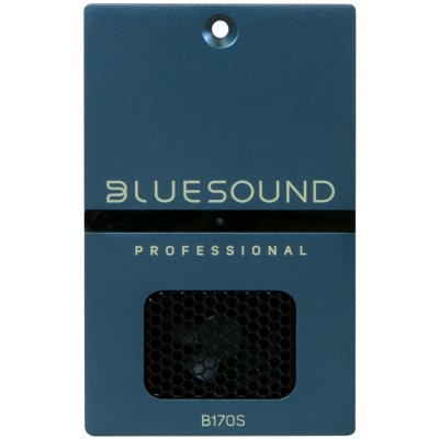 Bluesound Professional B170S