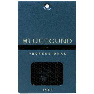 Bluesound Professional B170S – Zboží Živě