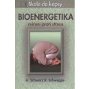 Bioenergetika cvičení proti stresu Škola do kapsy