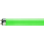 Philips TL-D Colored 36W 1SL – Hledejceny.cz