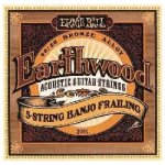 ERNIE BALL 2061 – Zboží Mobilmania