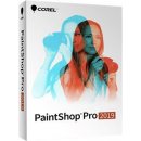 PaintShop Pro 2019 ML Mini Box - PSP2019MLMBEU