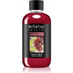 Millefiori Milano náplň do aroma difuzéru grape cassis 250 ml – Zboží Mobilmania