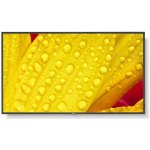 NEC M651-2 – Zboží Živě