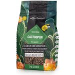 Lechuza CACTUSPON 3 l – Zboží Dáma