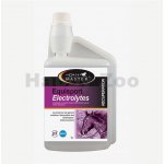 Horse Master Equisport Electrolyte 1 l – Sleviste.cz