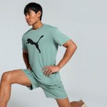 Puma TAD ESSENTIALS SOLID CAT TEE PÁNSKÉ FUNKČNÍ TRIKO MINT ZELENÉ ZELENÁ – Hledejceny.cz
