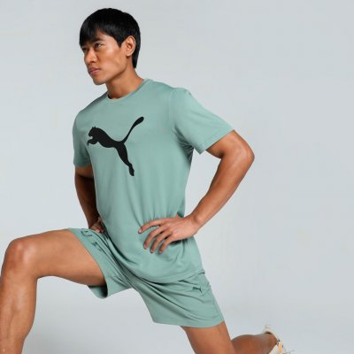 Puma TAD ESSENTIALS SOLID CAT TEE PÁNSKÉ FUNKČNÍ TRIKO MINT ZELENÉ ZELENÁ – Hledejceny.cz