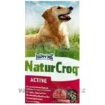 Happy Dog NaturCroq Active 2 x 15 kg – Hledejceny.cz
