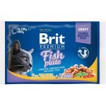 Brit Premium Cat Delicate Fillets in Gravy Cod fish Salmon and Trout 4 x 100 g – Sleviste.cz