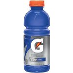 Gatorade iontový nápoj 591 ml – Zboží Mobilmania