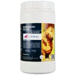 Univit Roboran Chondro pro psy plv 400 g – Hledejceny.cz