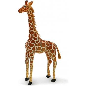 žirafa stojící 137 cm