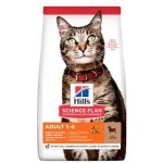 Hill's Science Plan Feline Adult jehně rýže 10 kg – Hledejceny.cz