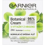 Garnier Skin Naturals Grape Cream hydratační denní krém pro normální pleť 50 ml pro ženy