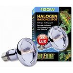 Hagen ExoTerra Sun Glo Halogen Neodymium 100 W – Zboží Dáma
