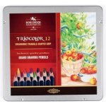 Koh-i-noor Trojhranné pastelky 3162 Triocolor silné 12 ks – Zboží Dáma