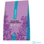 Energy QI collagen XXL 300 g – Hledejceny.cz