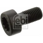 Sroub setrvacniku FEBI BILSTEIN 07584 – Sleviste.cz