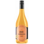 Loklok Kombucha Zázvor 0,75 l – Hledejceny.cz