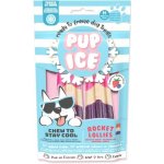 Pup Ice chlazená se jahodou a borůvkou 2 ks 90 g – Zboží Mobilmania