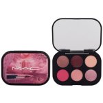 MAC Cosmetics Connect In Colour Eye Shadow Palette 6 shades paletka očních stínů Rose Lens 6,25 g – Zboží Dáma