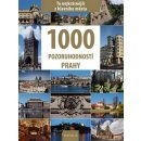 1000 pozoruhodností Prahy To nejkrásnější z hlavního města Soukup Vladimír, David Petr