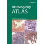 Histologický atlas – Hledejceny.cz